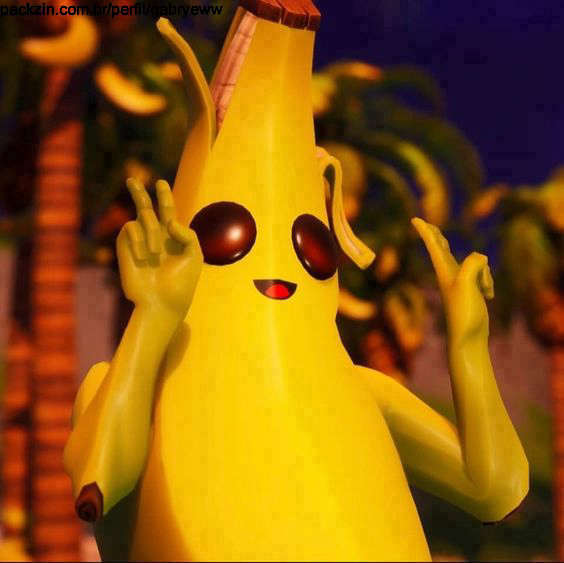 Imagem do serviço Jogo Fortnite com vc!
