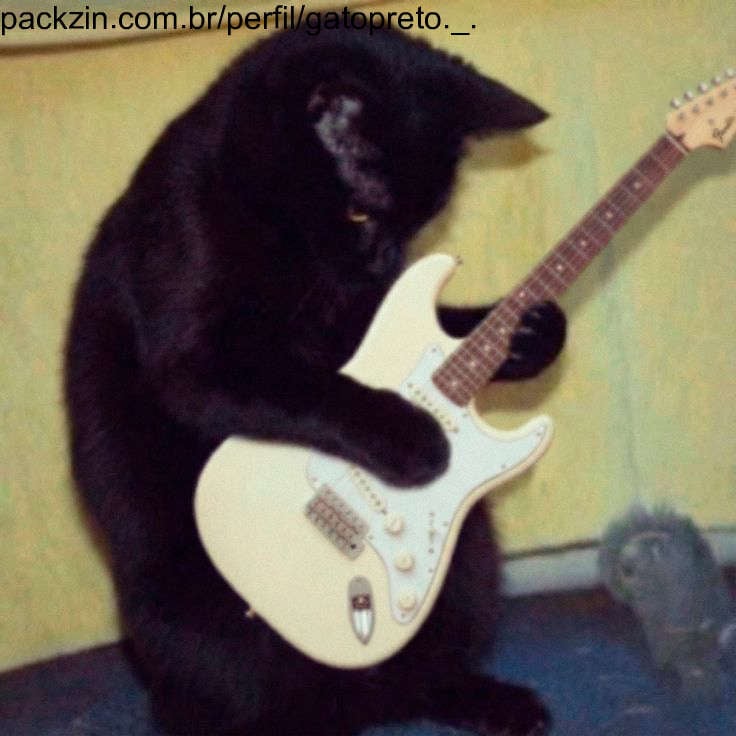 Imagem do pack Me ajude a comprar uma guitarra🎸