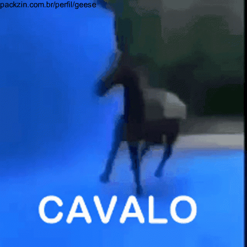 Imagem do serviço CAVALO