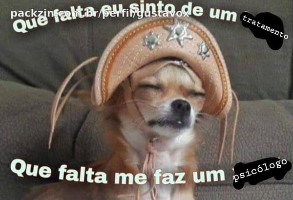Imagem do pack Teste new2