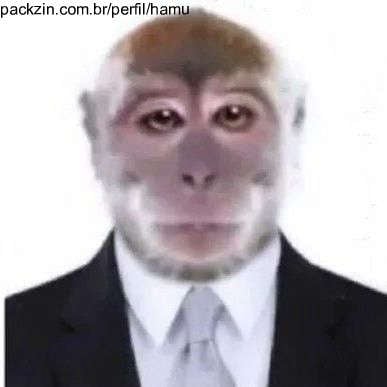 Foto de perfil de hamu