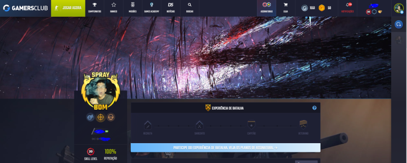Imagem do serviço Te carrego durante 2 partidas no csgo