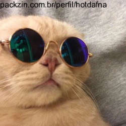 Imagem do pack Comprar ração pra animais de rua