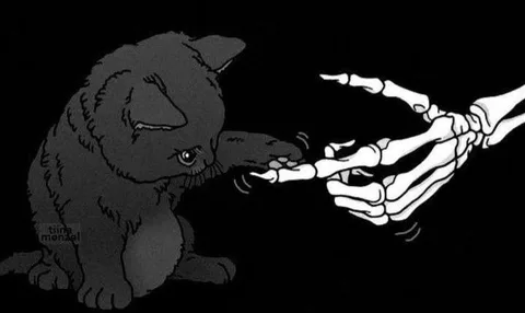Foto de capa de invsjoker