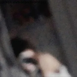 Foto de perfil de isinhasz