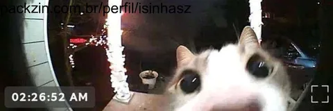 Foto de capa de isinhasz