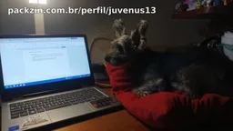 Foto de perfil de juvenus13