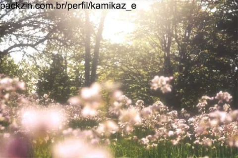 Foto de capa de kamikaz_e