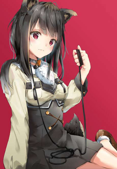 Foto de perfil de kittywake