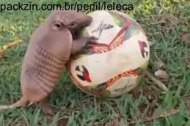 Imagem do serviço Vamos jogar algo ><