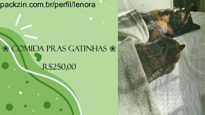 Imagem do pack ❀ COMIDA PRAS GATINHAS ❀