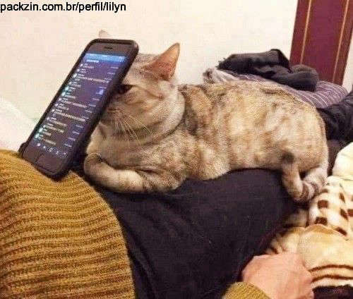 Imagem do serviço AUXILIAR VIRTUAL (MENSAL)