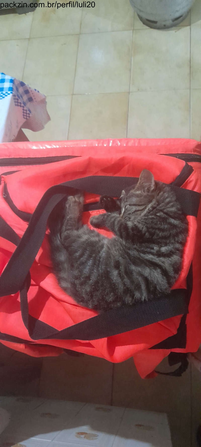 Imagem do pack Ração pros meus nenéns 🥺💚🐾