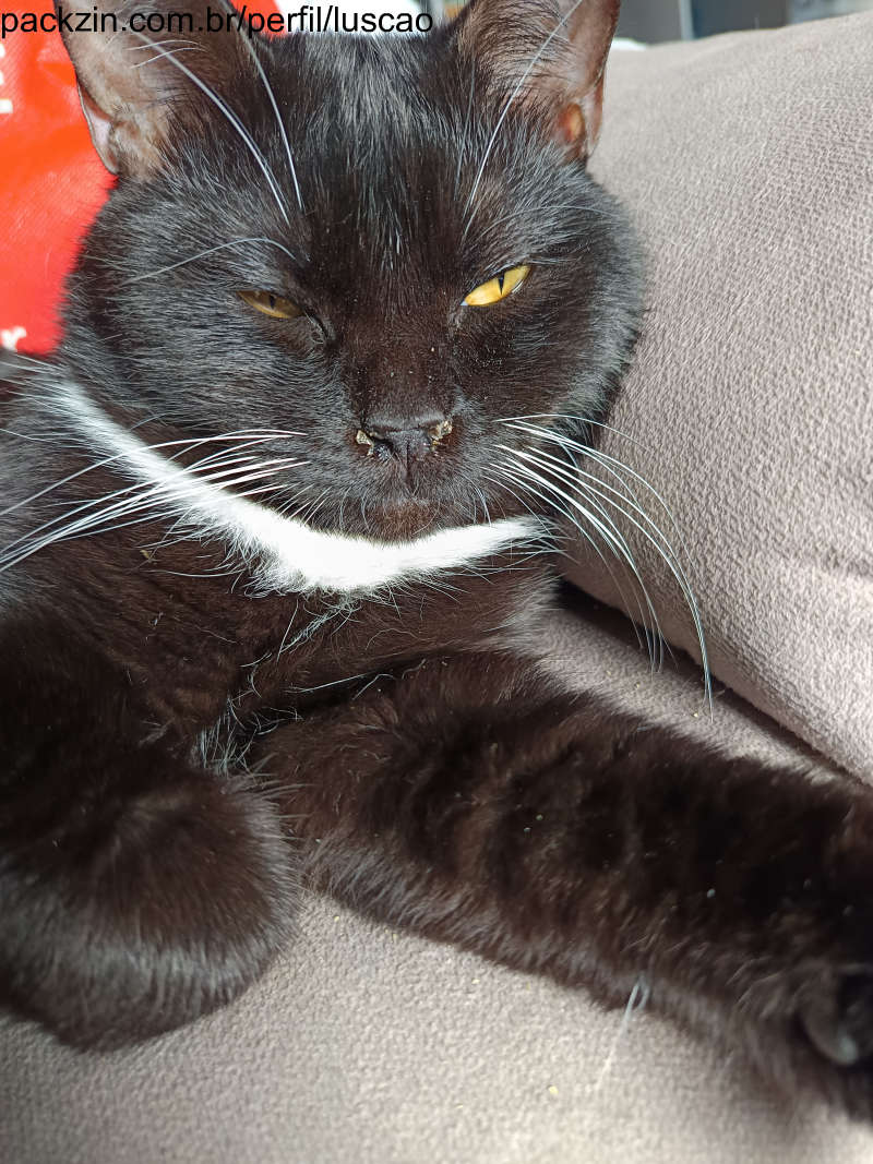 Foto de perfil de luscao