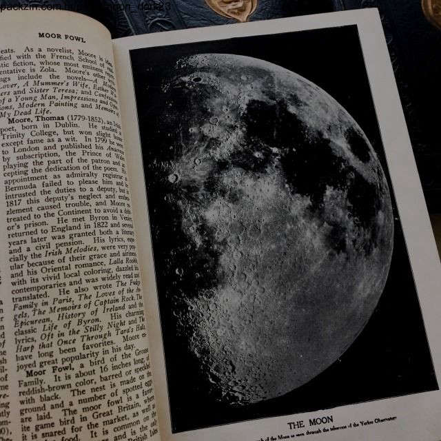 Foto de capa de moon_dark23