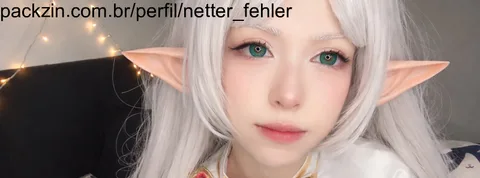 Foto de capa de netter_fehler