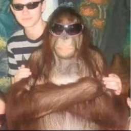 Imagem do pack 🐵🐵Tropa da MACACADA🐵🐵