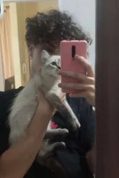 Foto de perfil de poney