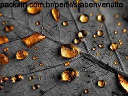 Imagem do pack CHUVA DOURADA