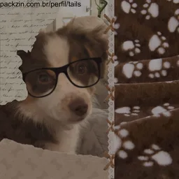 Foto de perfil de tails