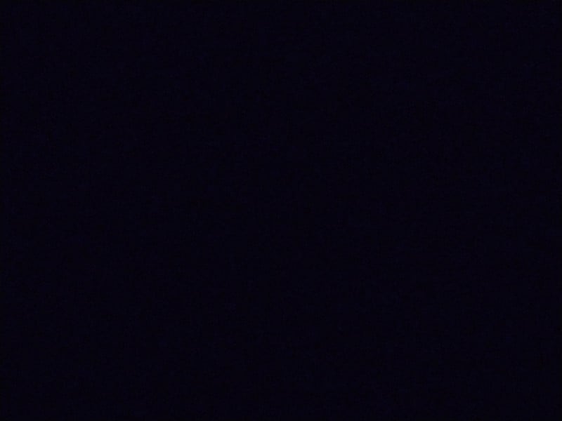 Foto de perfil de tarine
