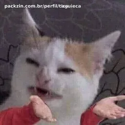 Foto de perfil de tica