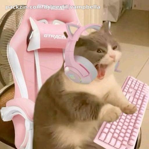 Imagem do serviço DUO NO VAVA ᡕᠵデᡁ᠊╾━