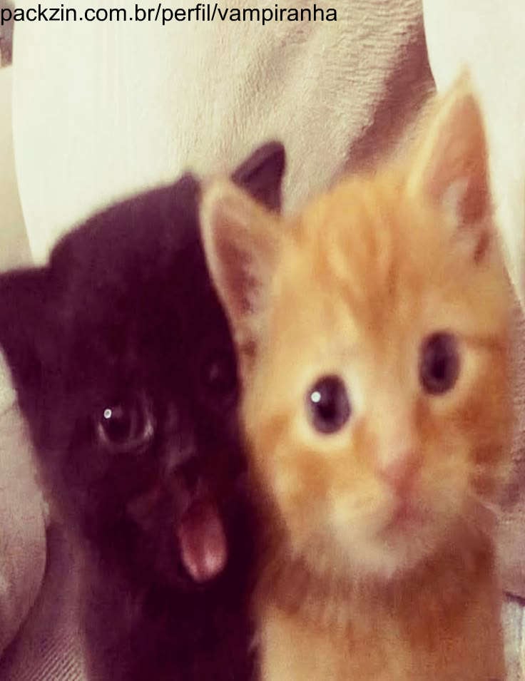 Imagem do serviço sua webmelhor amiga ou inimiga,