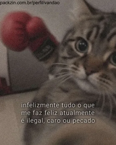 Foto de capa de vandao