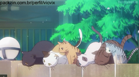 Imagem do pack Ajude a castrar minhas gatinhas