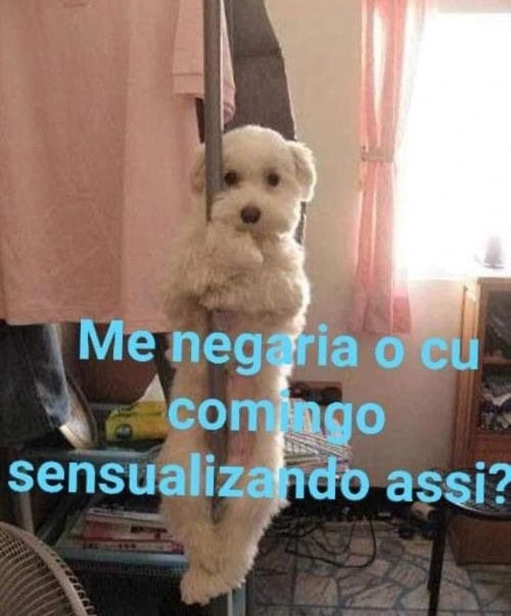 Foto de perfil de xxamandax