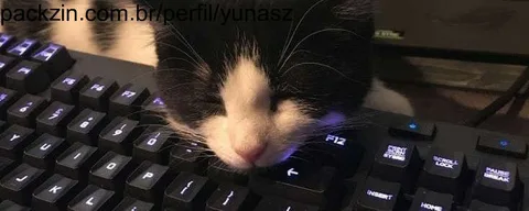 Foto de capa de yunasz